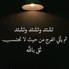 user4277077036956