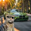 chmohammad078