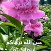 user88359181233