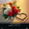 najan6734