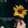 ailail6176