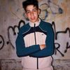 anis.anis1494