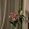 jj.nl8