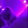 user3317029838318