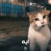 mkschfbky87