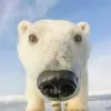 cocco_fresco89