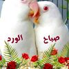 waelfathi60