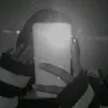 pricylla3