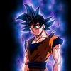 goku.temu23
