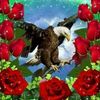 yazan77786