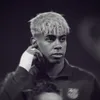 xqymalz