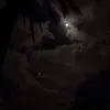 aro0o05