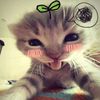 1ts_.bb.lovie