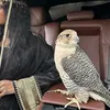 ab_aljaberi