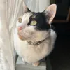 gatitamecha