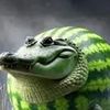 glorblo.fruittdol