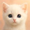 Cats.Meow