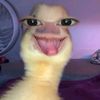 nur.hailissa