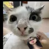 hehuoctraitimdayvetxuoc