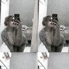 rikagemoyy7