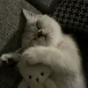 _slept.yet