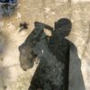 mohammadhanif6700