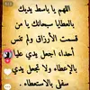 user97810545329774