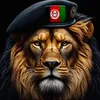 rehaanafghan2