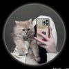 user5237318452421