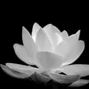 chin.nguyen268