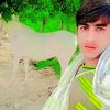 moazzam.ali.235.r
