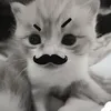 pun_phlinhh