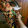 user46004552803600
