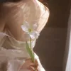 perfumeology00