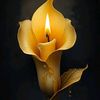 ejaz.ahmad.6599