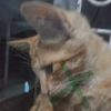 yigit_furkan05