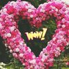 zubair.ahmad145