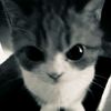 .cappucino_7