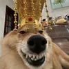vu.xuan.dai8