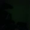 yani_12768