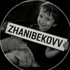 zhanibekovv.3