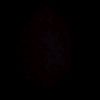 ekoo_069