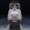 hugomair2
