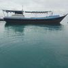 alifi767