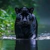 kucing.hutan103