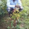 use0974836789