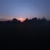 ellieburns7