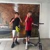 lej_tlz31