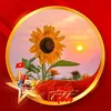 do.thi.nhan193