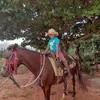 user461730991